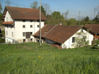 Musée de Rainmühle