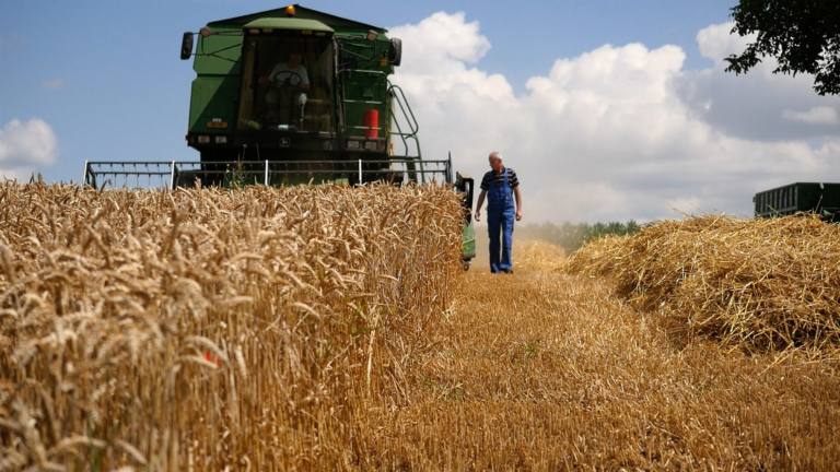 L'agriculteur: acteurs de la création de valeur