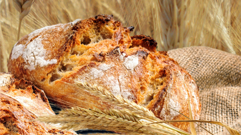 Tritordeum - une nouvelle céréale naturelle