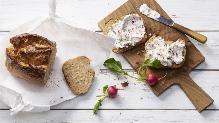 Tartinade de fromage frais et radis