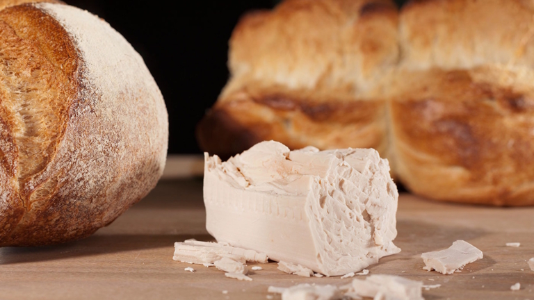 La levure, héroïne cachée de la pâte à pain
